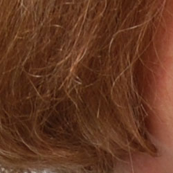 Subtle detail: Hair Noise suppression tends to blur detail in areas of subtle contrast, as in