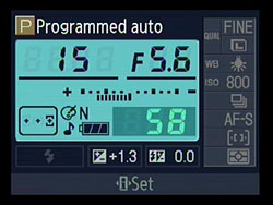 D40X Overview image 13
