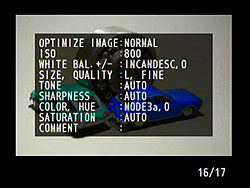 D40X Viewfinder image 6