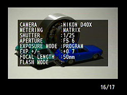 D40X Viewfinder image 5