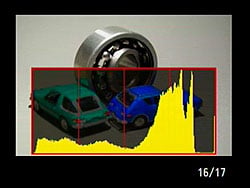 D40X Viewfinder image 7