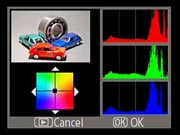 D40X Viewfinder image 8