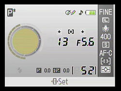 D40X Overview image 12