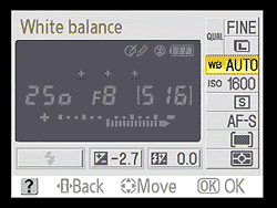 D40X Operation image 5