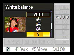 D40X Operation image 6