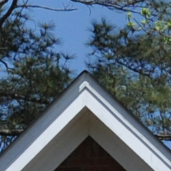 Good definition of high-contrast elements, with only minor edge enhancement visible.