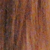 D5000 Imaging image 28