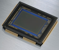 D5000 Overview image 6