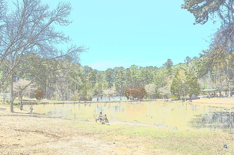 D5100 Overview image 13