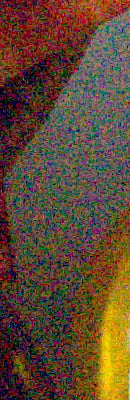 D5100 RAW Files image 63