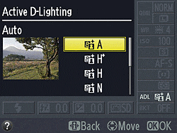 D5100 Exposure image 7