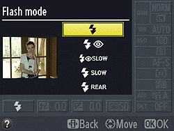D5100 Flash image 2