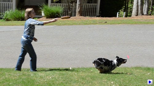 D5100 Video image 1