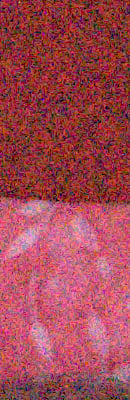 60D RAW Files image 58