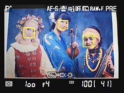 D7000 Live View image 5