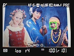 D7000 Live View image 6