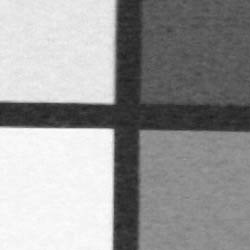 400D Rebel XTi Imaging image 22