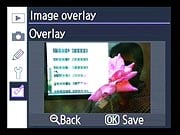 D80 Retouch image 11