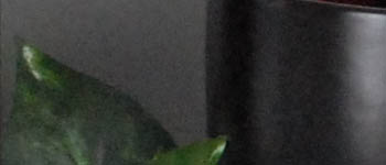 D80 Imaging image 51