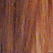 D90 Imaging image 31