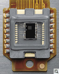 D90 Autofocus image 1