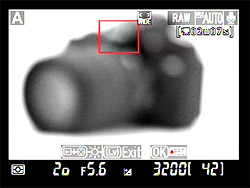 D90 Live View image 3