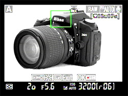 D90 Live View image 4