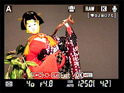 D90 Live View image 5