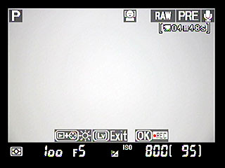 D90 Live View image 2