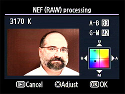 D90 Operation image 39