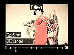 D90 Operation image 46