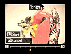 D90 Operation image 47