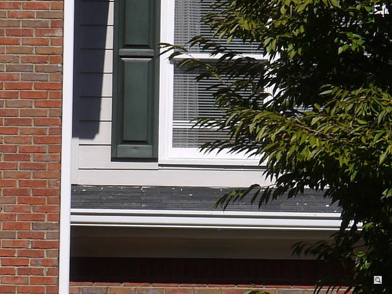 4x Digital Zoom