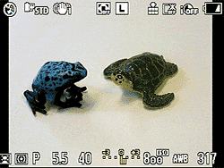 G1 Viewfinder image 4