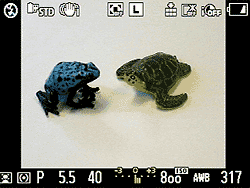 G1 Viewfinder image 5