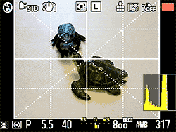 G1 Viewfinder image 6