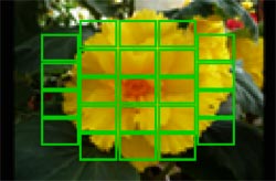 G1 Preview image 15