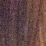 G2 Imaging image 32
