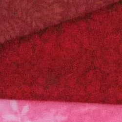 D3100 Overview image 34