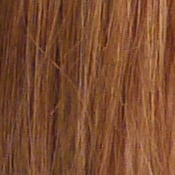 GF1 Imaging image 23