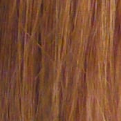 GF1 Imaging image 24