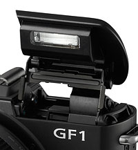GF1 Overview image 7