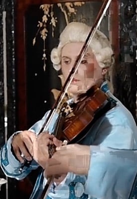 GF1 Video image 7
