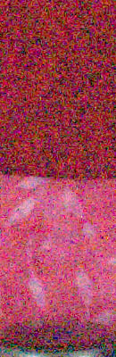 FinePix X100 RAW Files image 96