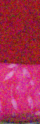 GF3 RAW Files image 37