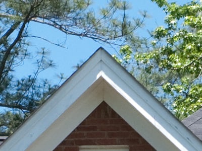 GH1 Imaging image 21