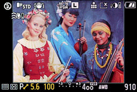 GH1 Viewfinder image 6
