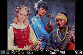 GH1 Viewfinder image 5