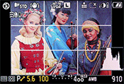 GH1 Overview image 7