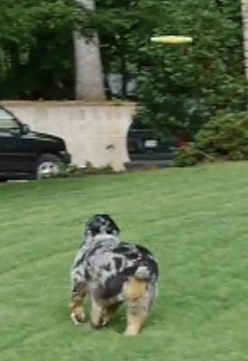 GH1 Video image 8